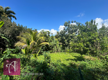 Achat Terrain Lamentin (97129) - GUADELOUPE