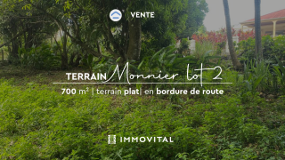 achat terrain à batir à lamentin (97129)