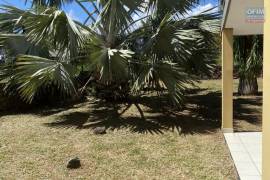 achat maison à sainte-marie (97438)