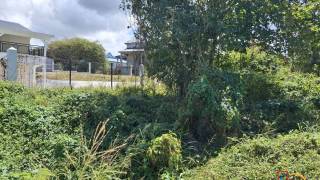 achat terrain à le moule (97160)