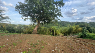 achat villa à petit bourg (97170)