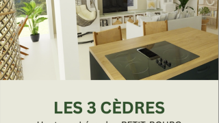 achat neuf villa à petit bourg (97170)
