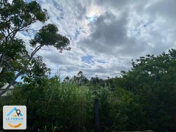 Achat Terrain Saint-Pierre (97410) - REUNION