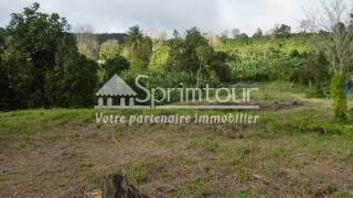 achat terrain à gourbeyre (97113)