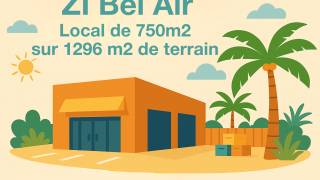 location local commercial  à saint-louis (97450)