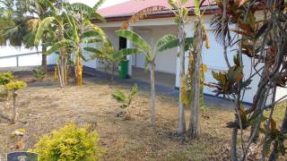 location maison à saint-pierre (97410)