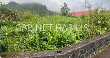 a vendre - terrain de 509 m2 environ - plaine des palmistes - 122 600 € hai