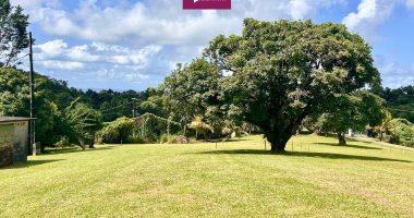 À vendre   terrain de 957 m2 dans lotissement privé de standing   petit-bourg