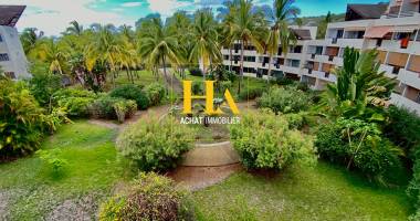 t3 en duplex au coeur de boucan canot!