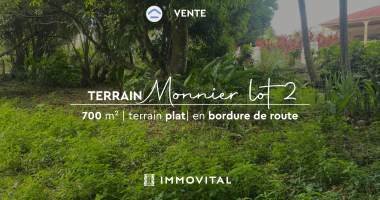 vente terrain dans le quartier de monnier dans la commune du lamentin;