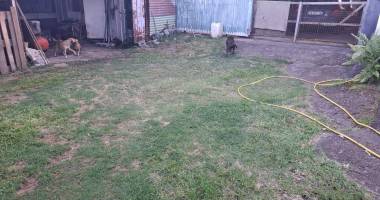 350 m2 de terrain – secteur champ borne, saint-andré