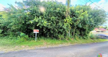 terrain a vendre saint anne