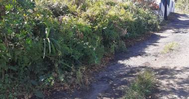 vends terrain, d'env 800 m2 dont une partie en zone boisée bord de ravine, beaumont, sainte marie