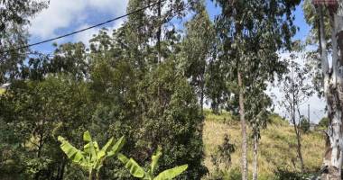 a vendre à trois bassins très beau terrain de 1431 m2