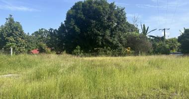 À saisir   terrain plat 1181 m2   petit-bourg, secteur fontarabie