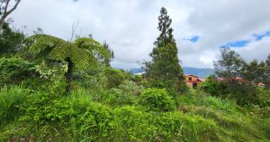 terrain constructible plaine des palmistes