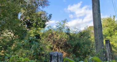 saint pierre 97410 - terrain plat en zone ug - proche centre ville