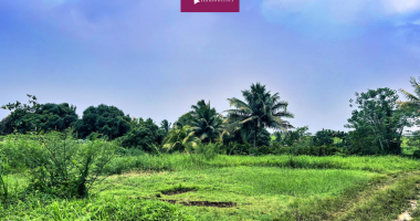 a vendre - terrain constructible de 1764 m2 dans la zac de nolivier, sainte-rose