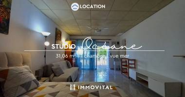 grand studio meuble face a la mer