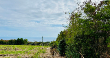 saint pierre 97410 -  terrain en zone uf - bien situe - proche chu et commodites