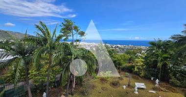 maison saint denis 530 m2