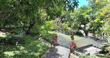 saint gilles les bains- t3 avec beau jardin