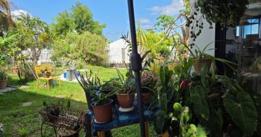 appartement t4 et dépendance de 105 m² - bois de néfles