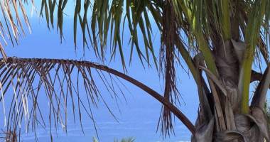 joli terrain d'environ 560m2 à montvert les bas avec une vue magnifique sur l'océan - ref 251941