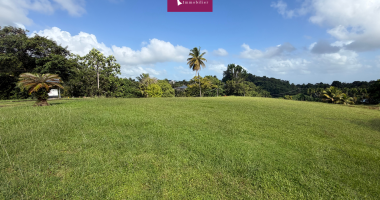 À vendre   terrain de 1307 m2 dans lotissement privé de standing   petit-bourg