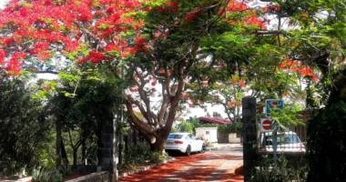 la montagne, quartier État-major - villa contemporaine 5 chambres