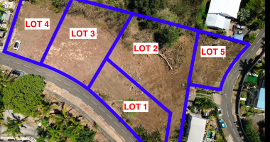 exclusivite a la possession (boeuf mort) -  5 parcelles de terrain