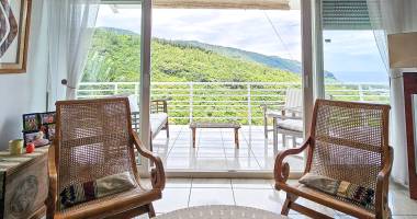 villa d’architecte t8 _ st-denis, la colline des camélias