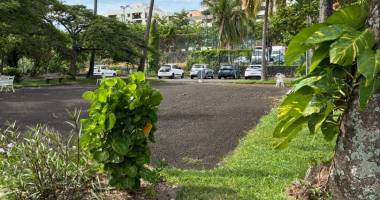 appartement saint denis 4 pièce(s) 70 m2 la providence - res. caravelle - saint denis