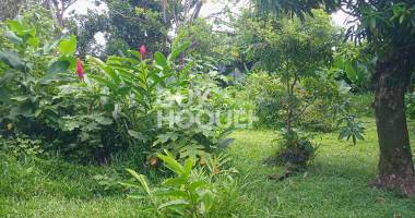 terrain saint benoit 680 m2