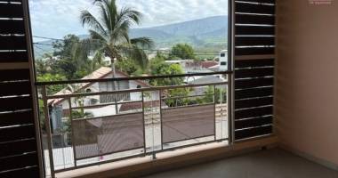 jolie f2 en plein centre de saint-louis