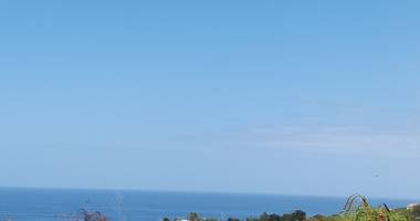 terrain à vendre   vue mer exceptionnelle   vieux-habitants