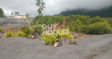 terrain plaine des palmistes