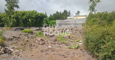 terrain la plaine des palmistes 500 m2