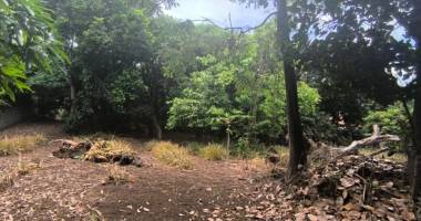 terrain d’environ 1 400 m² à la rivière saint-louis