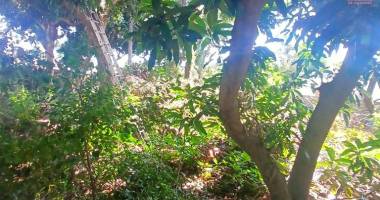 a vendre terrain constructible de 445m2 a saint-gilles les hauts