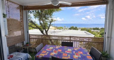 À vendre t2 meublé lumineux à la possession   terrasse vue mer, climatisé