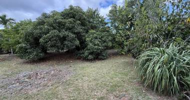 belle parcelle de terrain plat et arboré de 476 m² situé à 180 m d'altitude au fond d'une petite impasse à la ravine des cabris proche du centre ville.