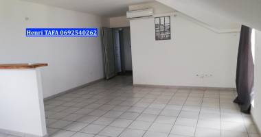 beau et grand studio de 3,97 m2 libre de toute occupation et vue mer