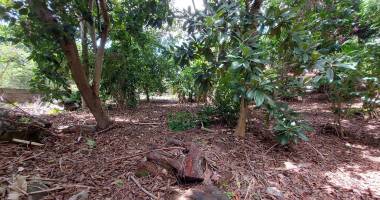 terrain 700 m2 ou plus la riviere saint louis