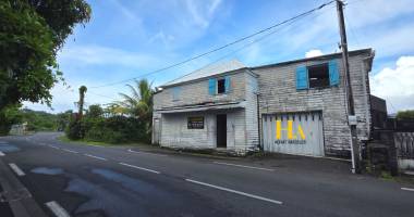 terrain 400 m² sainte rose, bois blanc avec bâti vétuste - zone uc