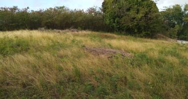 terrain À batir (903 m2) - lacroix beaufond - 97121 anse-bertrand