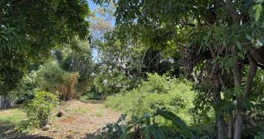 saint pierre 97410 - terrain plat en zone uf - secteur prisÉ au calme