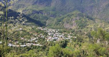 736 m² cilaos palmiste rouge