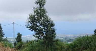 a vendre - tan rouge - terrain constructible 400 m2