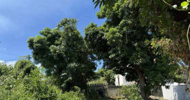 saint pierre 97410 - parcelle clÔturÉe - quartier rÉsidentiel - bien proportionnÉe